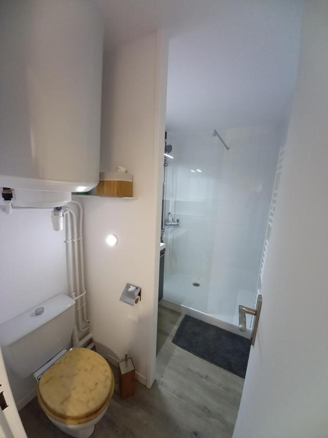 Appartement Cabine St-Lary-Soulan, Calme, Entierement Renove Сен-Лари-Сулан Екстериор снимка